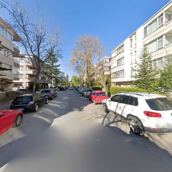 Fotoğraf 12