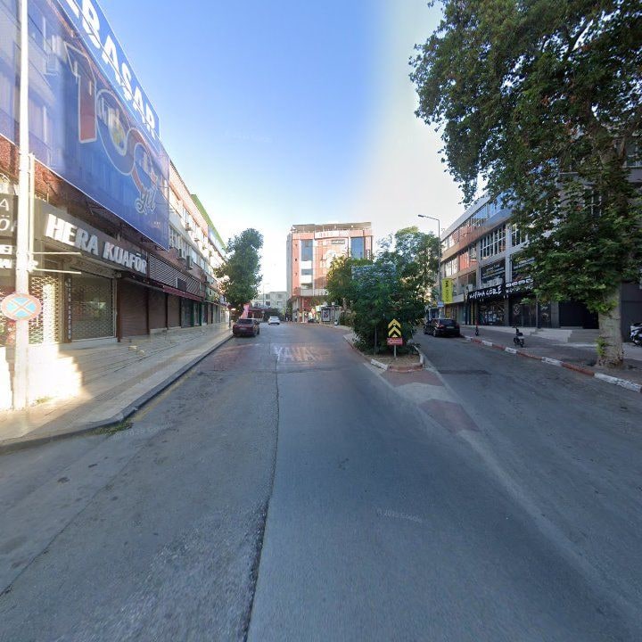 Fotoğraf 12