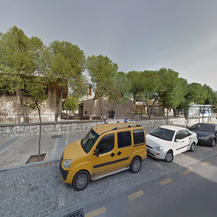 Fotoğraf 8