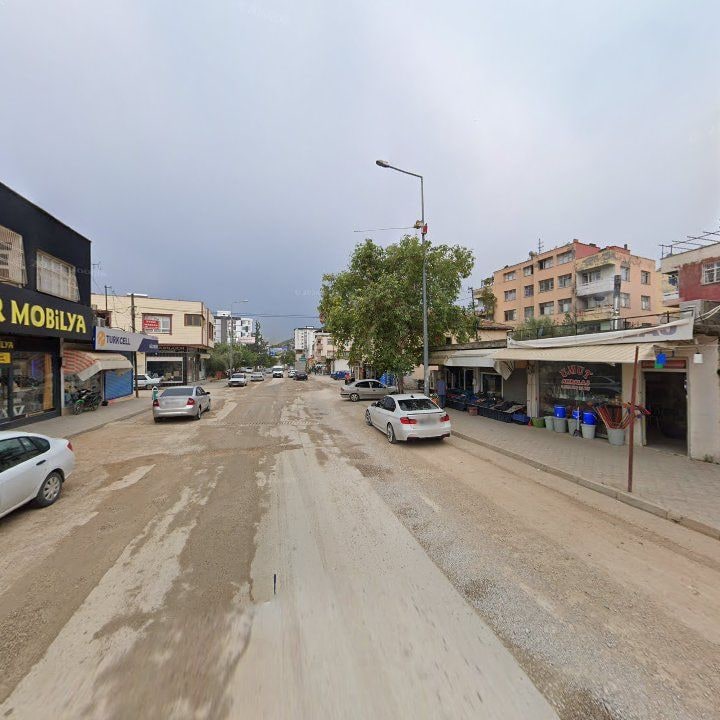 Fotoğraf 4