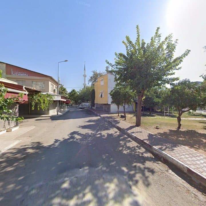 Fotoğraf 10