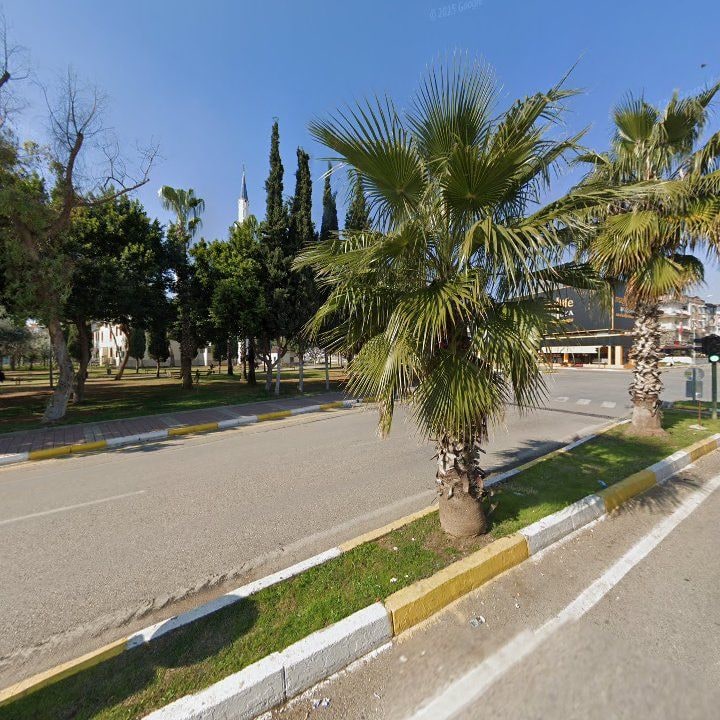 Fotoğraf 6