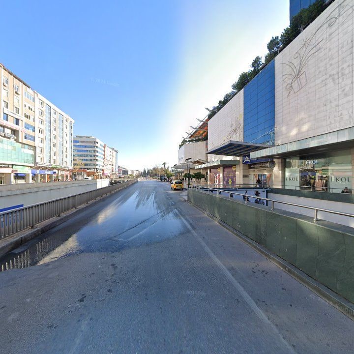 Fotoğraf 11