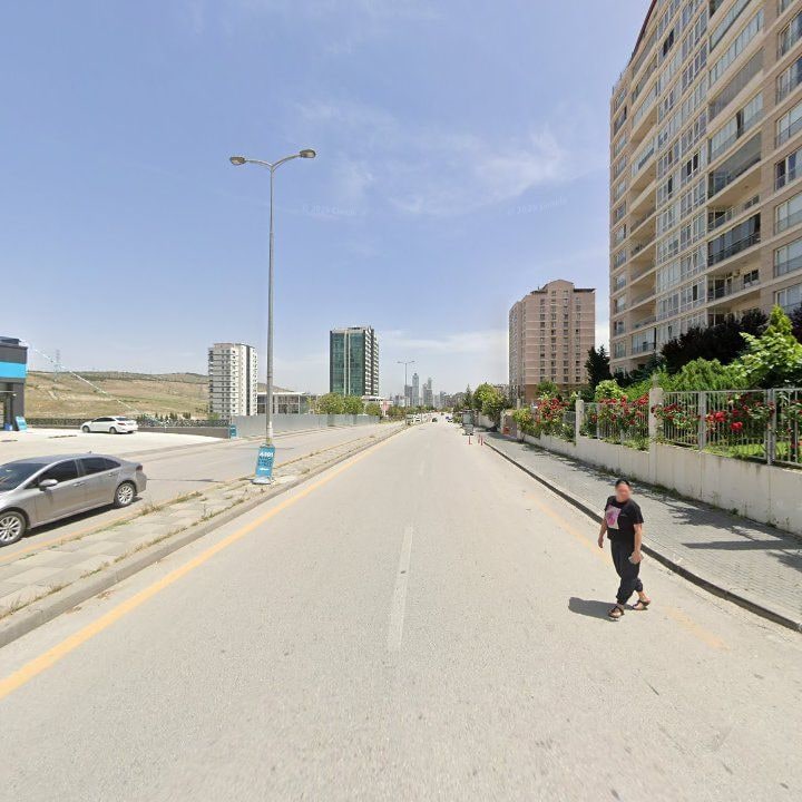Fotoğraf 11