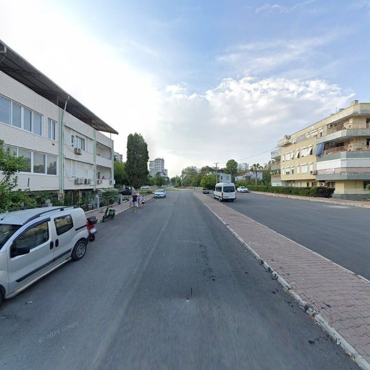 Fotoğraf 11