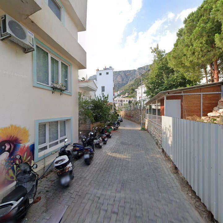 Fotoğraf 9