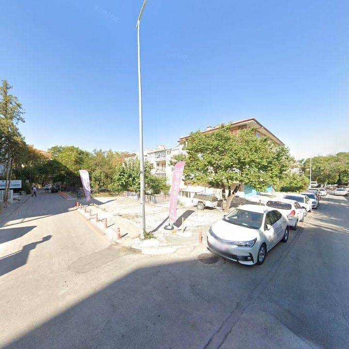 Fotoğraf 13