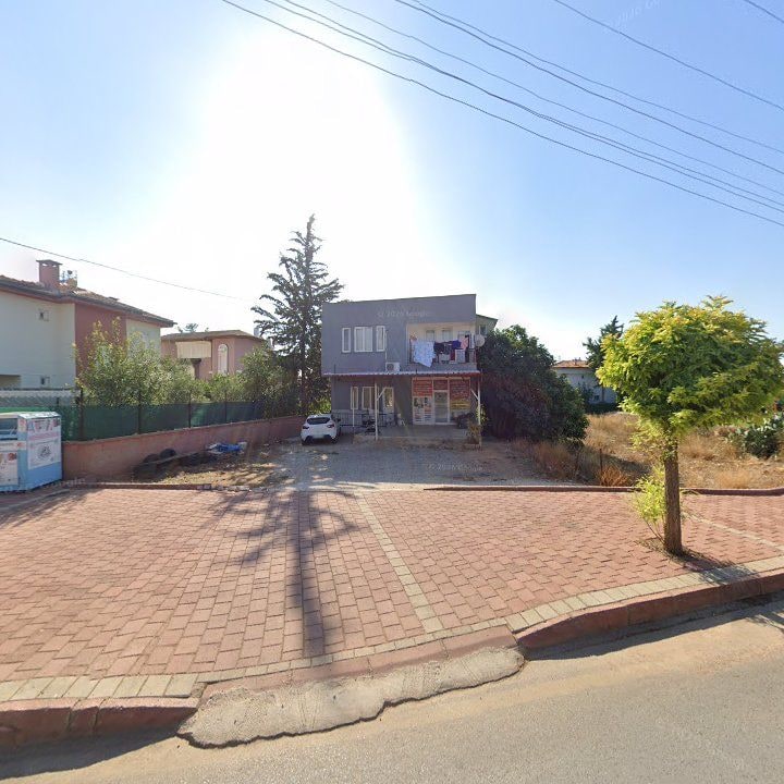 Fotoğraf 6