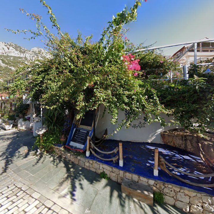 Fotoğraf 13