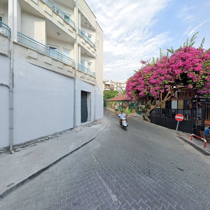 Fotoğraf 13