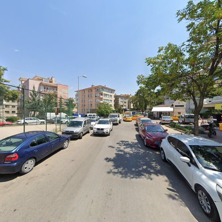 Fotoğraf 11