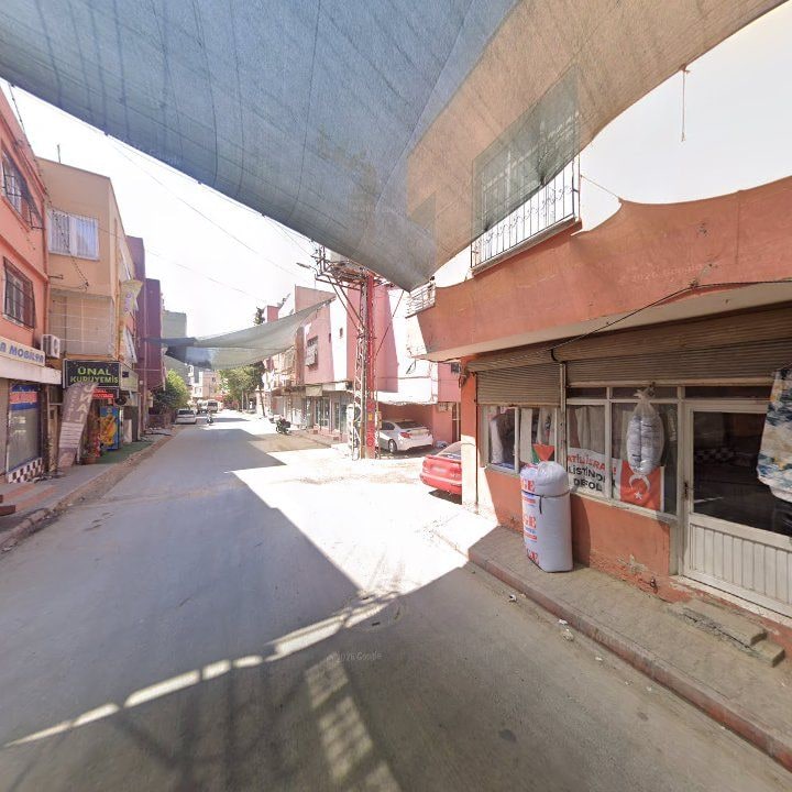 Fotoğraf 7