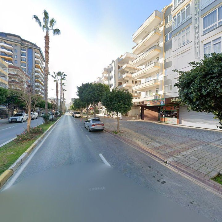 Fotoğraf 12
