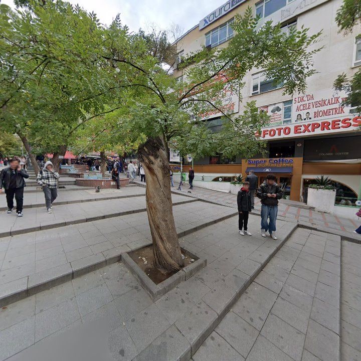Fotoğraf 3