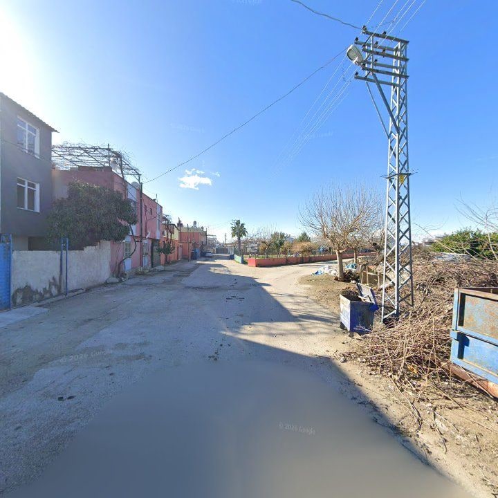 Fotoğraf 7