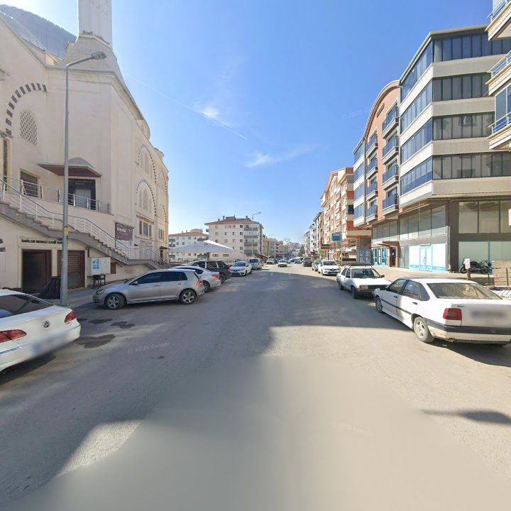 Fotoğraf 8