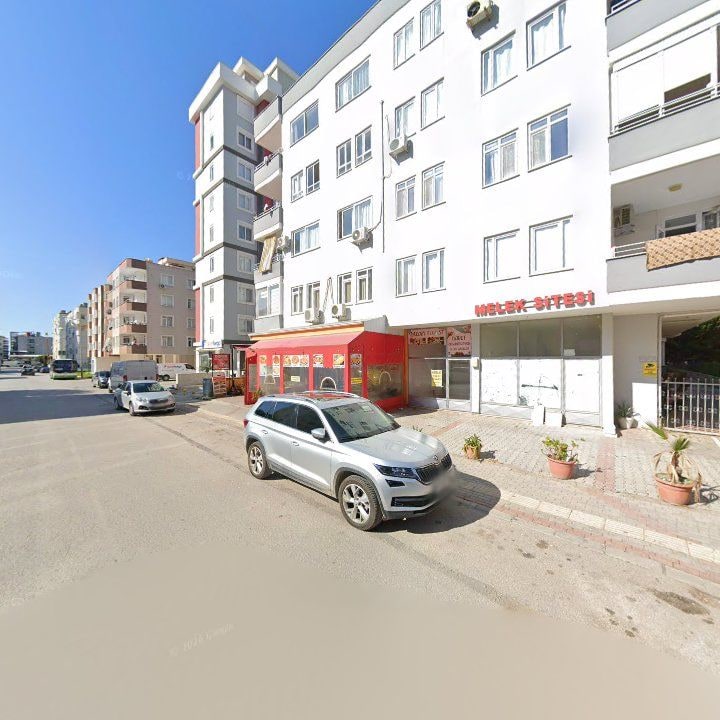 Fotoğraf 9