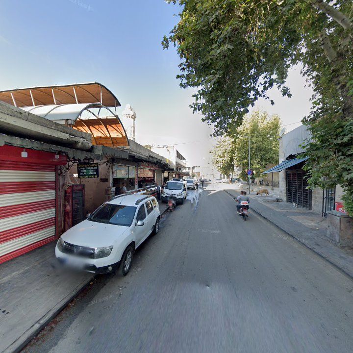 Fotoğraf 9
