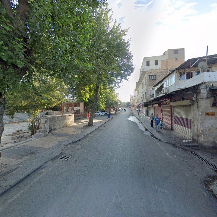 Fotoğraf 11