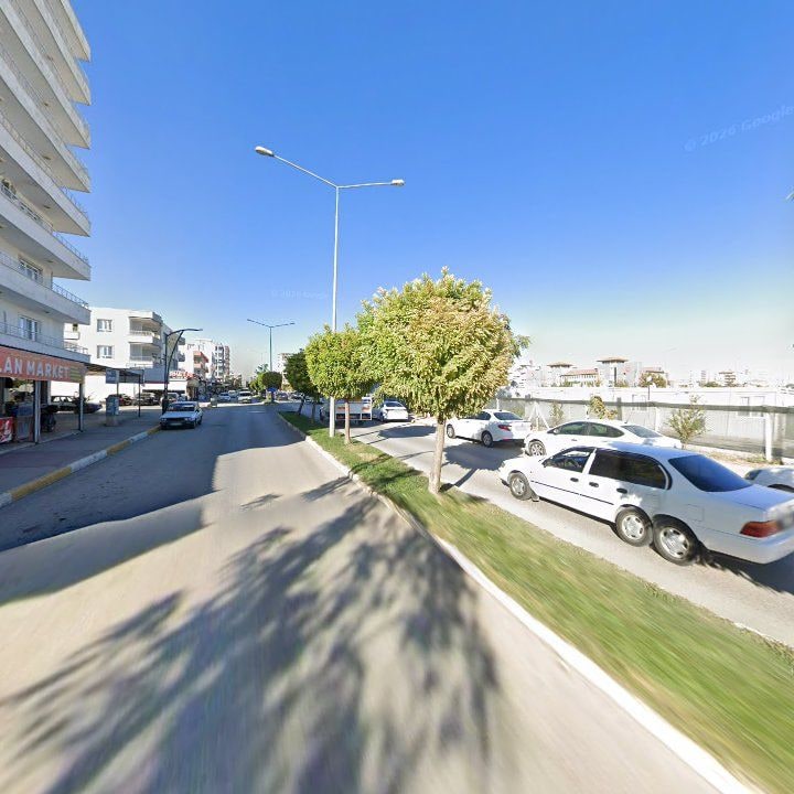 Fotoğraf 5