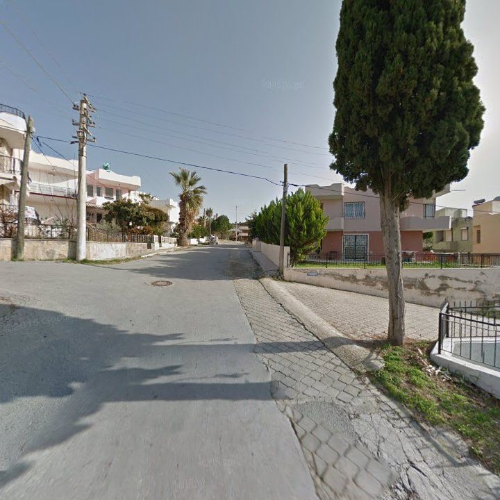 Fotoğraf 6