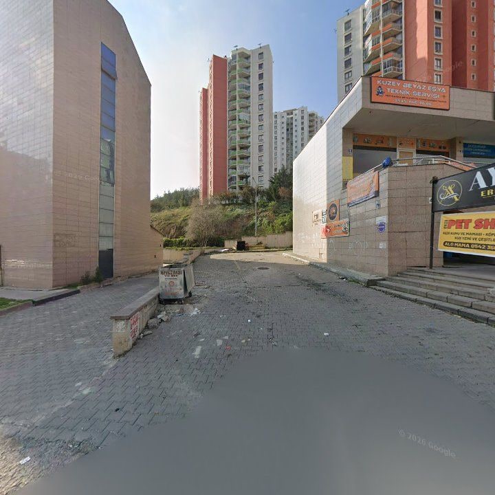 Fotoğraf 7