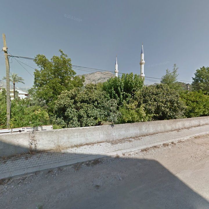 Fotoğraf 7