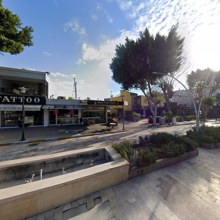 Fotoğraf 11