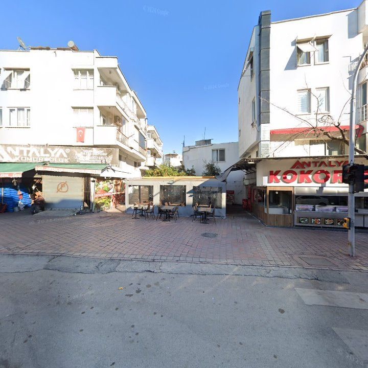 Fotoğraf 7