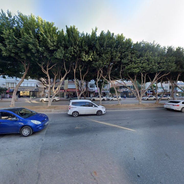 Fotoğraf 11