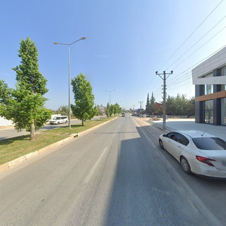 Fotoğraf 7