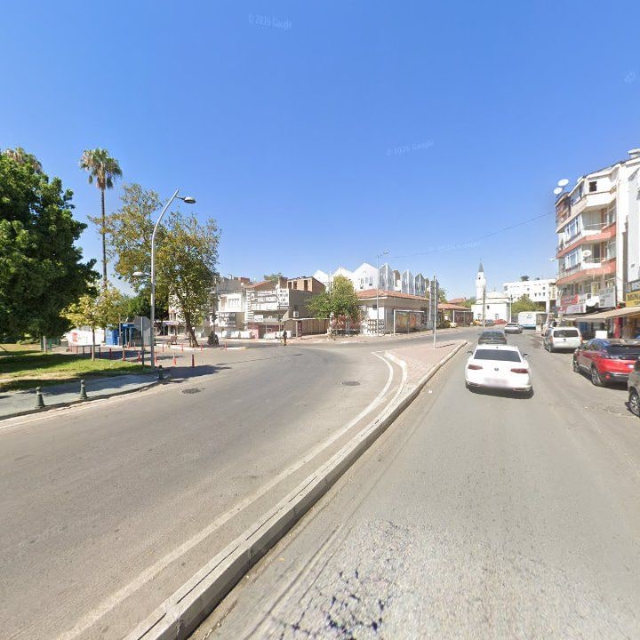 Fotoğraf 12