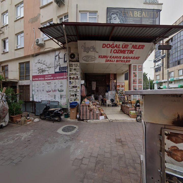 Fotoğraf 10