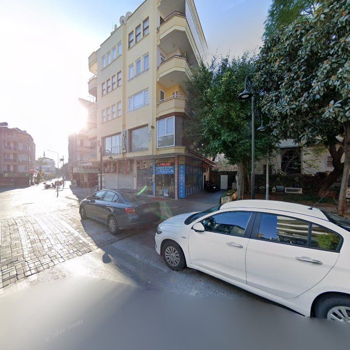 Fotoğraf 12