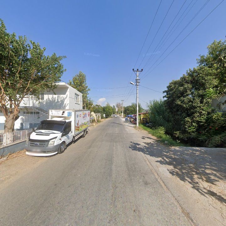 Fotoğraf 11