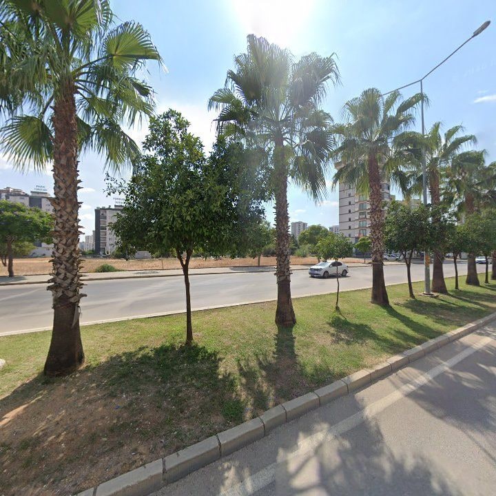 Fotoğraf 11