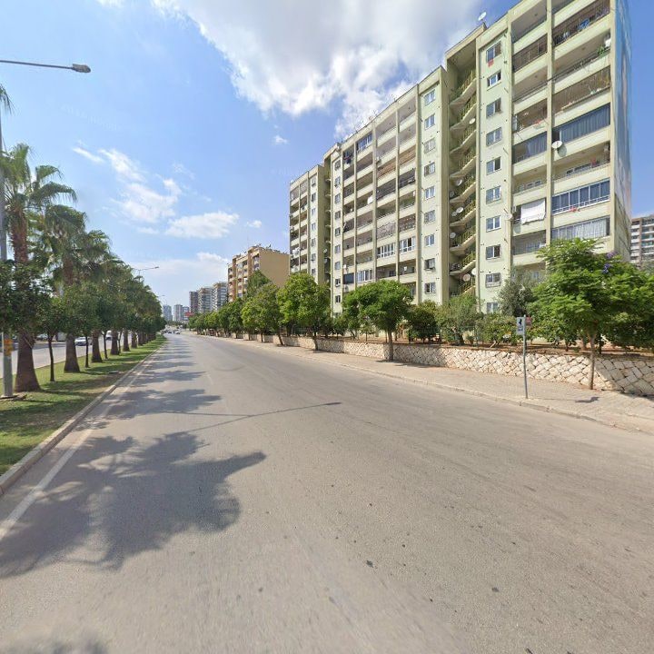 Fotoğraf 12