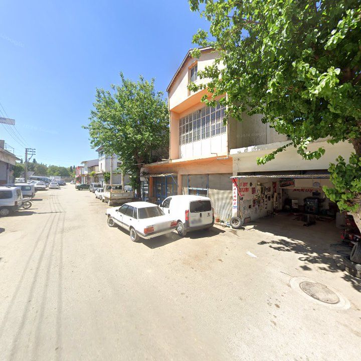 Fotoğraf 8