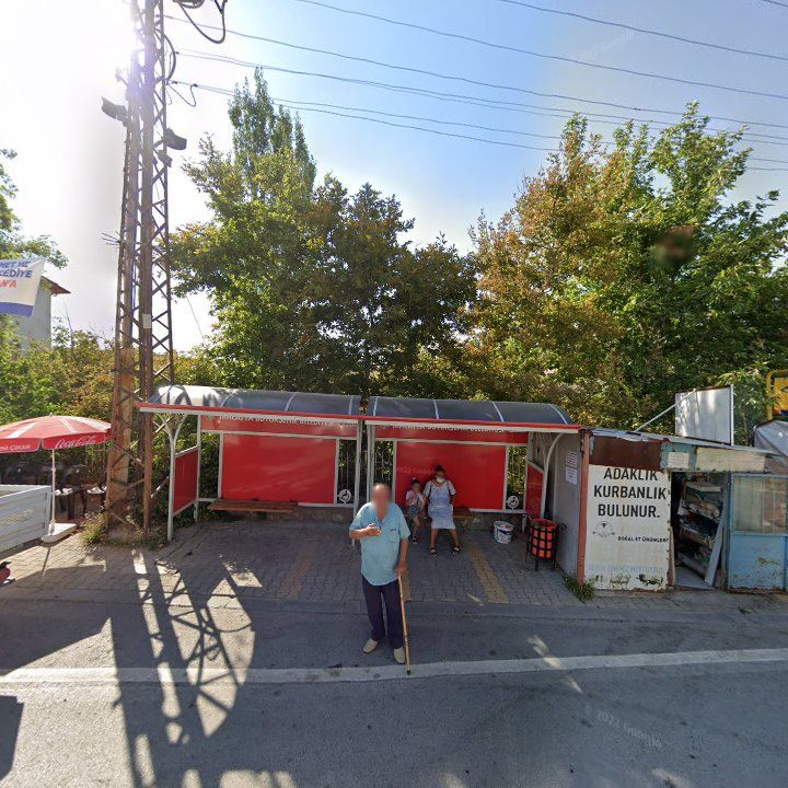 Fotoğraf 7