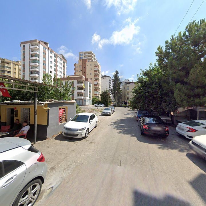 Fotoğraf 6