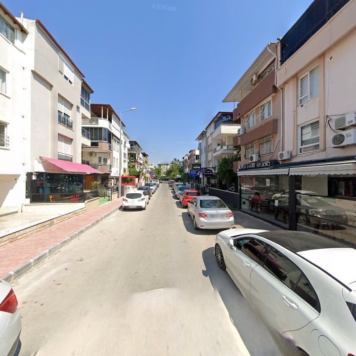 Fotoğraf 11