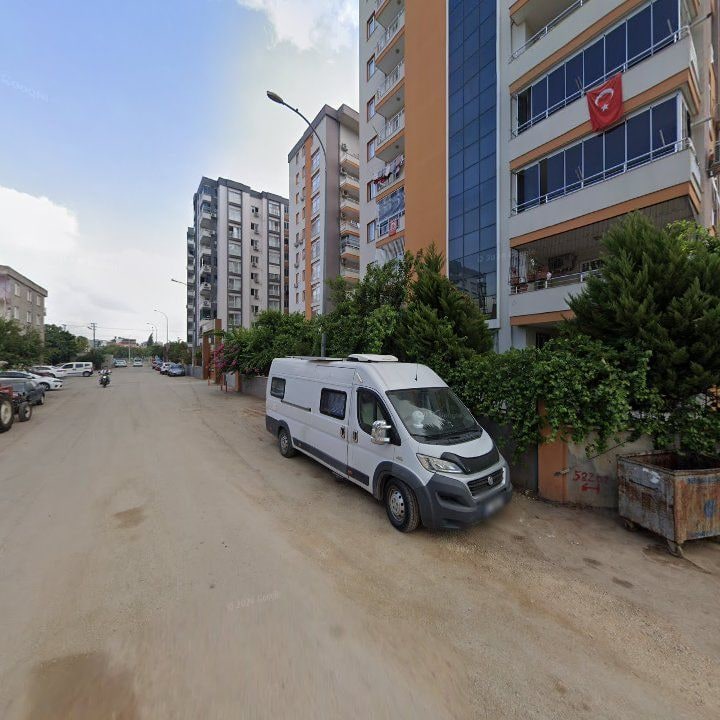 Fotoğraf 11