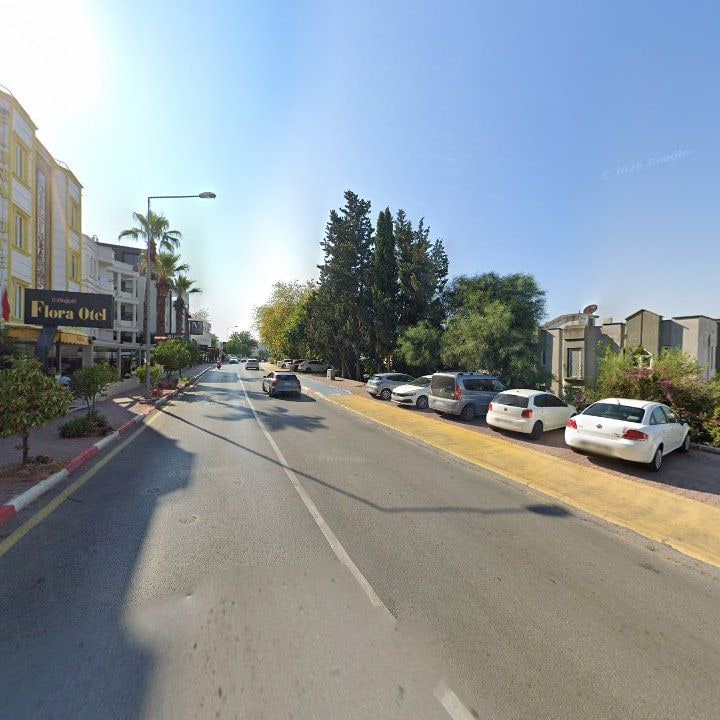 Fotoğraf 11