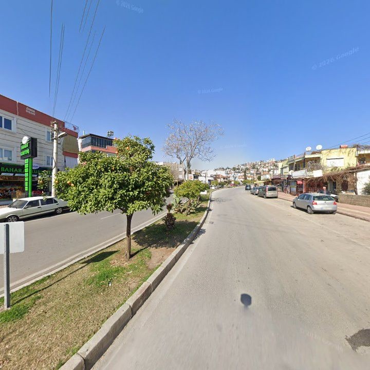 Fotoğraf 10