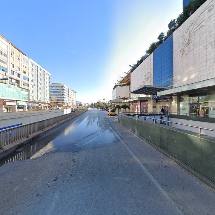 Fotoğraf 10