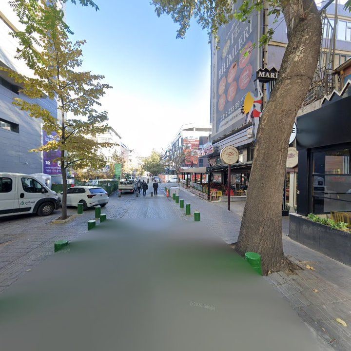 Fotoğraf 8