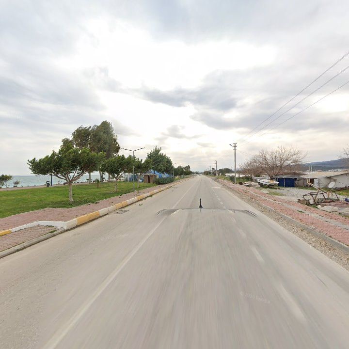 Fotoğraf 11
