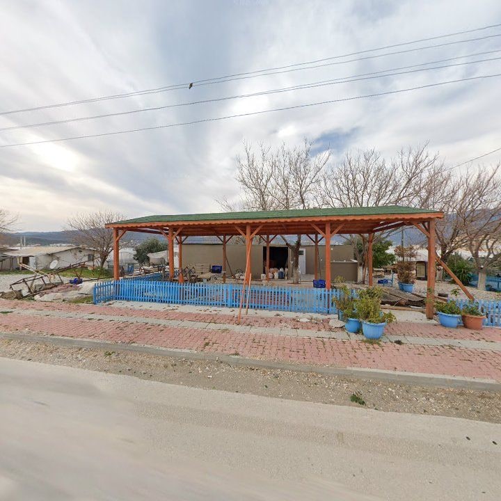 Fotoğraf 8