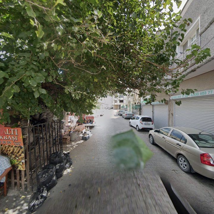 Fotoğraf 6