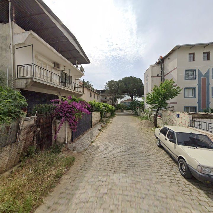 Fotoğraf 7